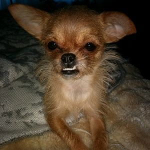 Meet your Posher, Will